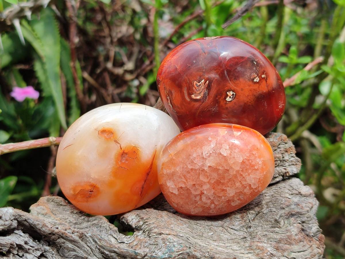 Polished Carnelian Agate Gemstone Galets x 24 From Madagascar