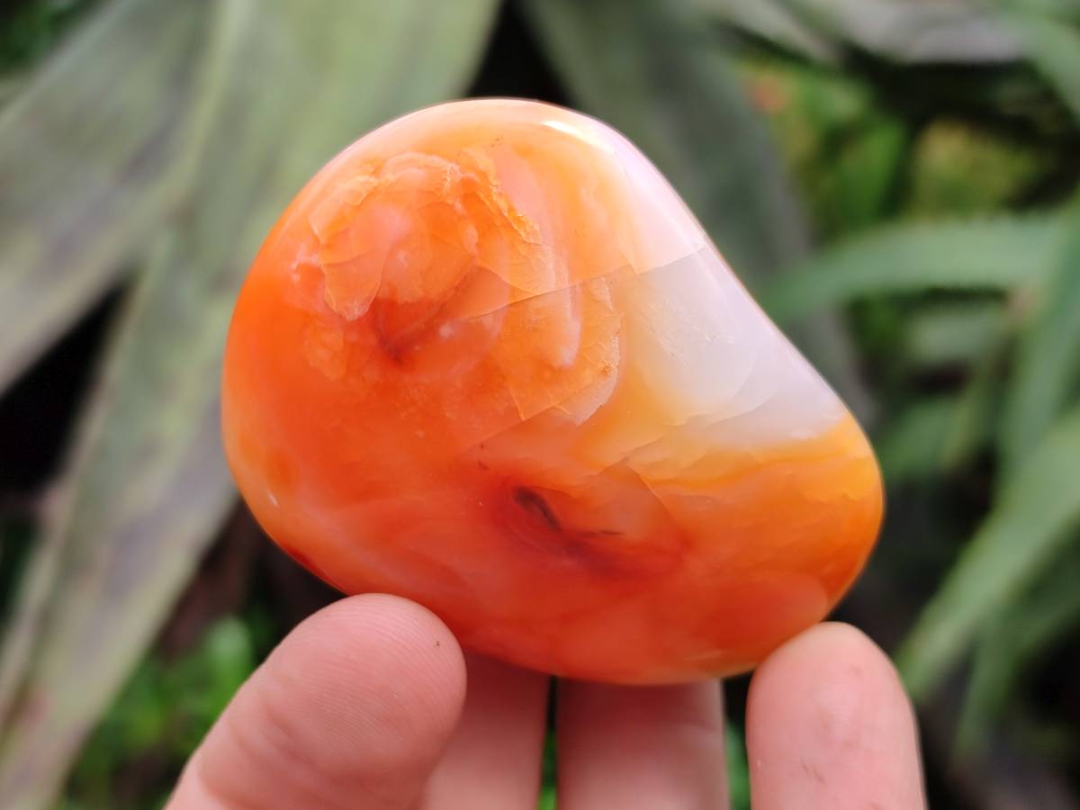Polished Carnelian Agate Gemstone Galets x 24 From Madagascar