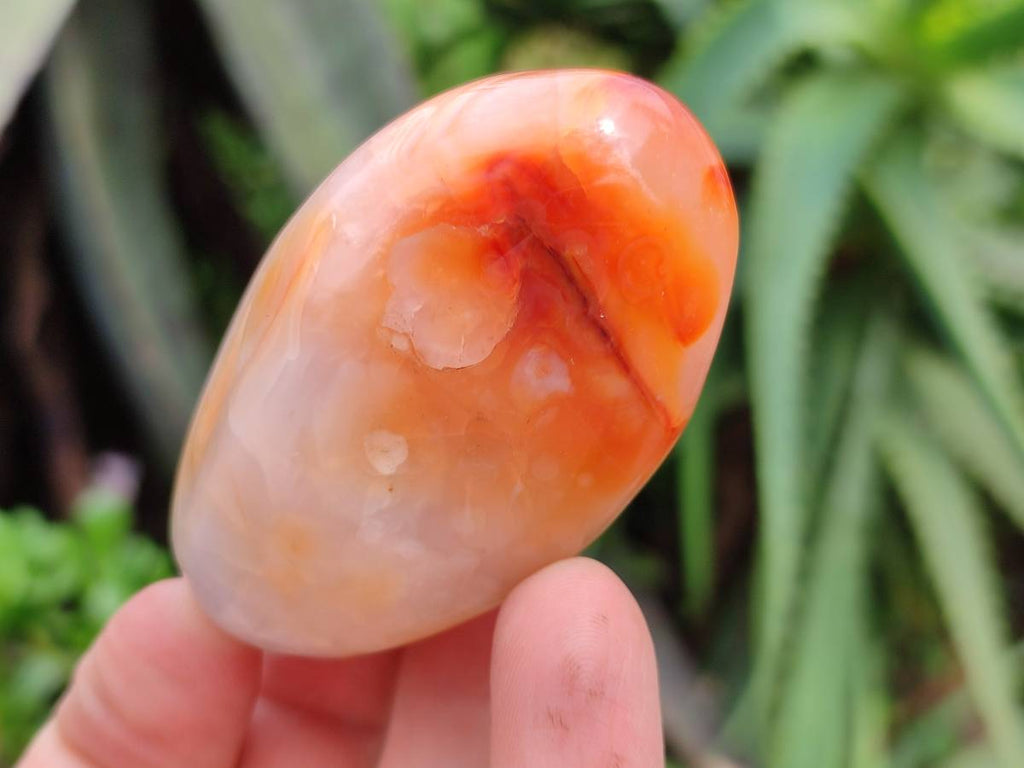 Polished Carnelian Agate Gemstone Galets x 24 From Madagascar