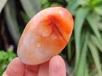 Polished Carnelian Agate Gemstone Galets x 24 From Madagascar