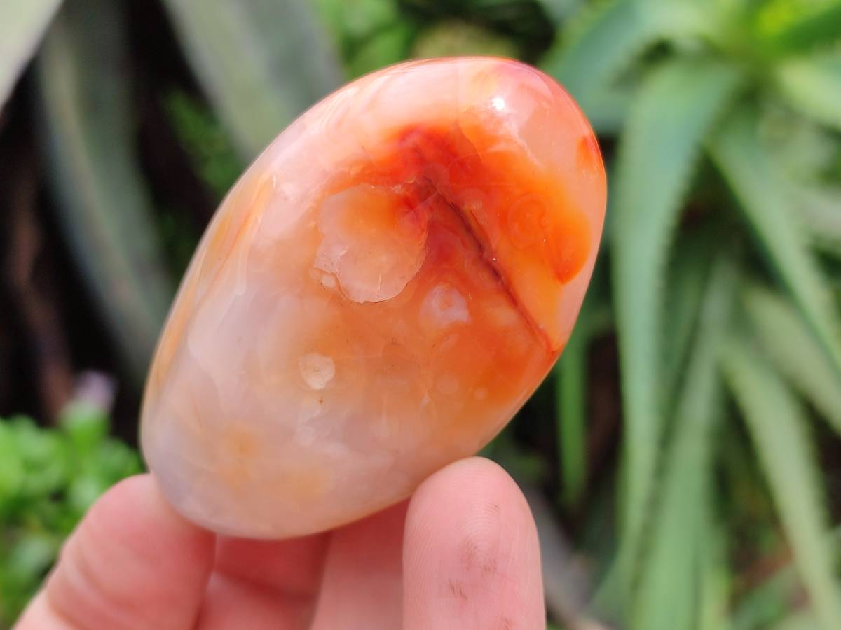 Polished Carnelian Agate Gemstone Galets x 24 From Madagascar