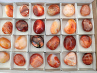Polished Carnelian Agate Gemstone Galets x 24 From Madagascar