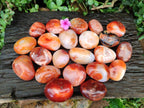 Polished Carnelian Agate Gemstone Galets x 24 From Madagascar