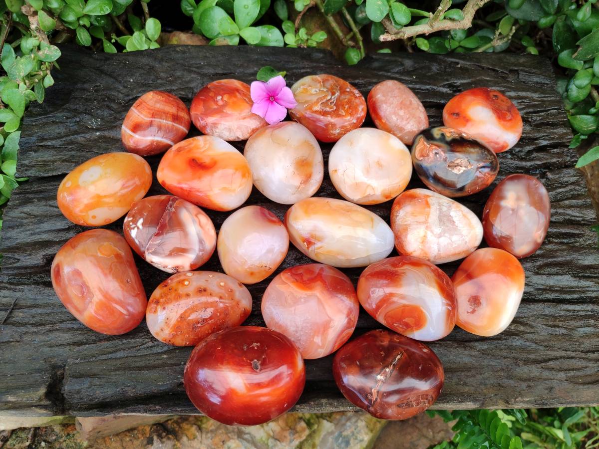 Polished Carnelian Agate Gemstone Galets x 24 From Madagascar