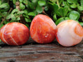Polished Carnelian Agate Gemstone Galets x 24 From Madagascar