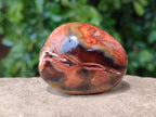 Polished Carnelian Agate Gemstone Galets x 24 From Madagascar