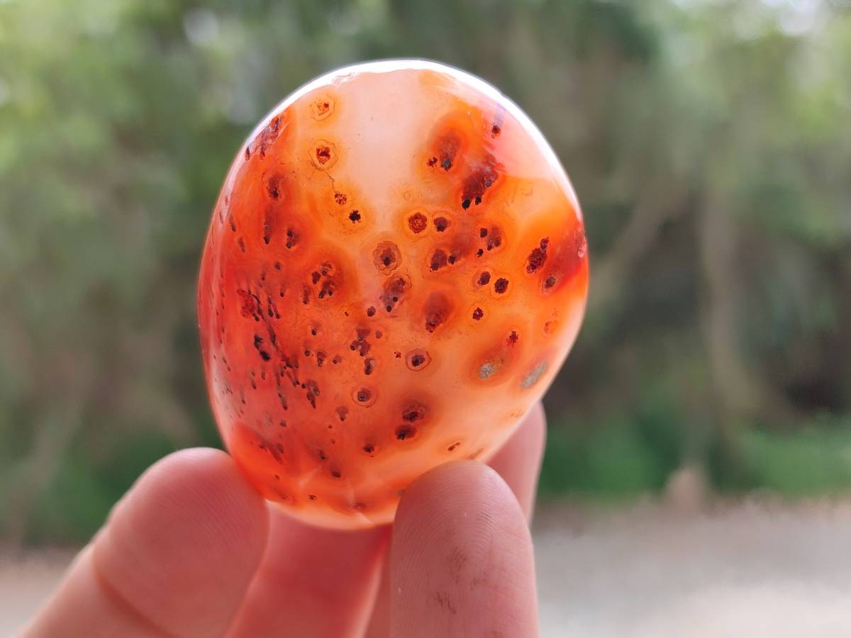 Polished Carnelian Agate Gemstone Galets x 24 From Madagascar