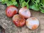 Polished Carnelian Agate Gemstone Galets x 24 From Madagascar