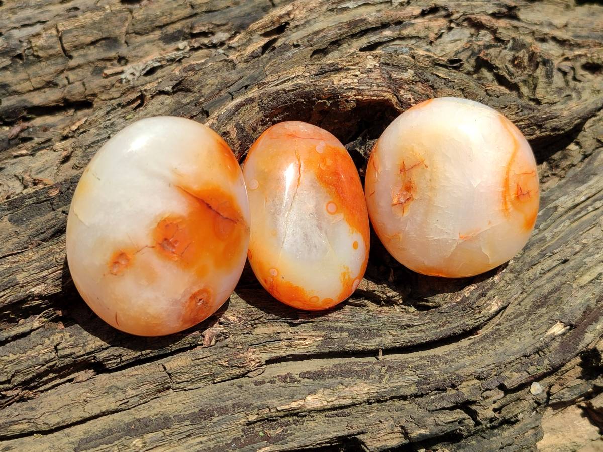 Polished Carnelian Agate Gemstone Galets x 24 From Madagascar