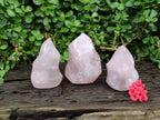 Polished Rose Quartz Flames x 3 From Madagascar