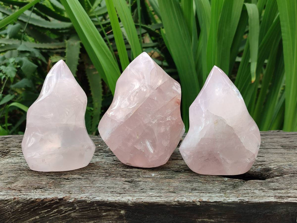 Polished Rose Quartz Flames x 3 From Madagascar