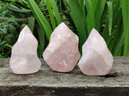 Polished Rose Quartz Flames x 3 From Madagascar