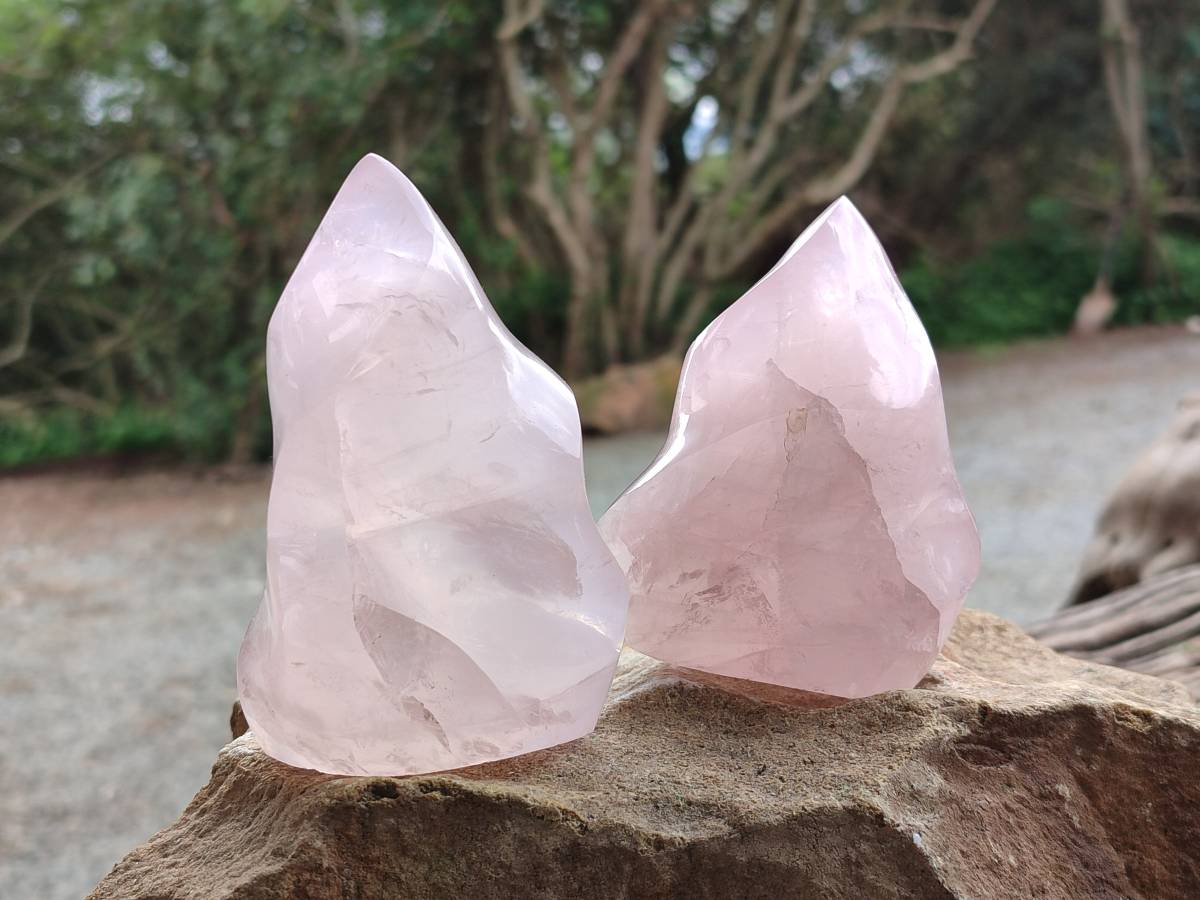 Polished Rose Quartz Flames x 3 From Madagascar