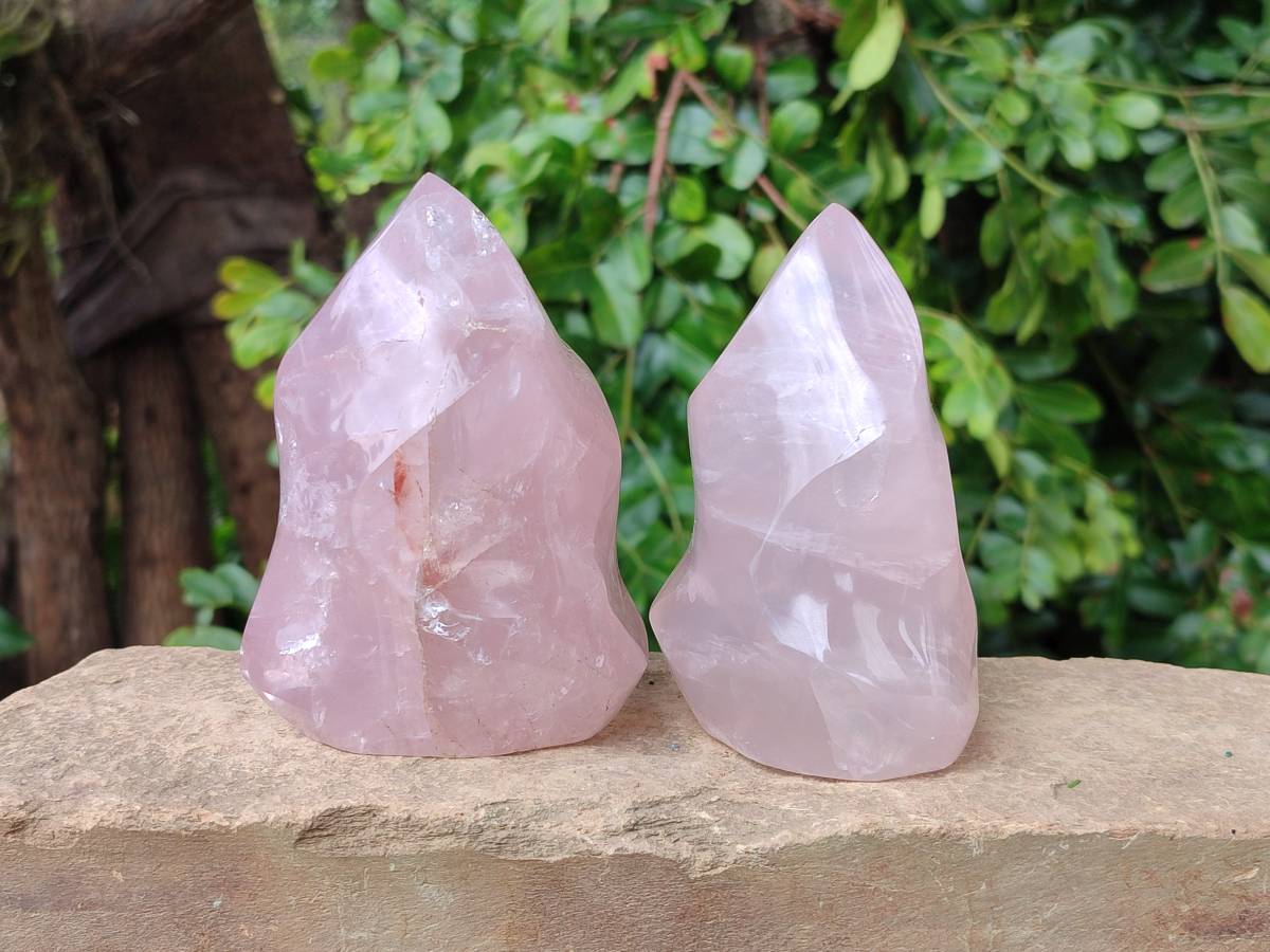 Polished Rose Quartz Flames x 3 From Madagascar