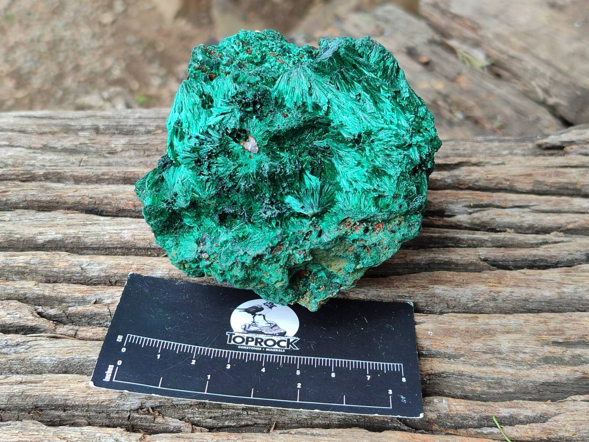 Natural Silky Malachite Specimens x 3 From Kasompe, Congo
