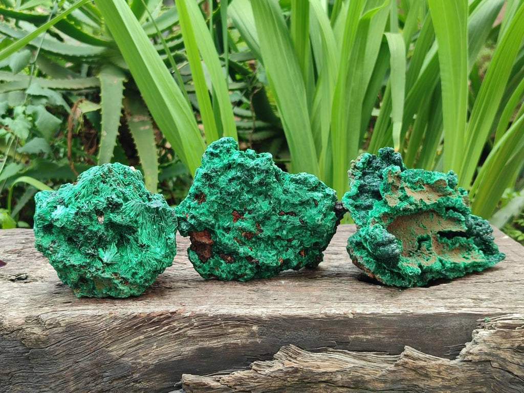 Natural Silky Malachite Specimens x 3 From Kasompe, Congo