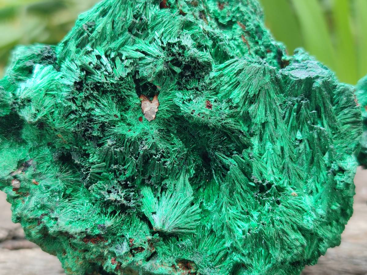 Natural Silky Malachite Specimens x 3 From Kasompe, Congo