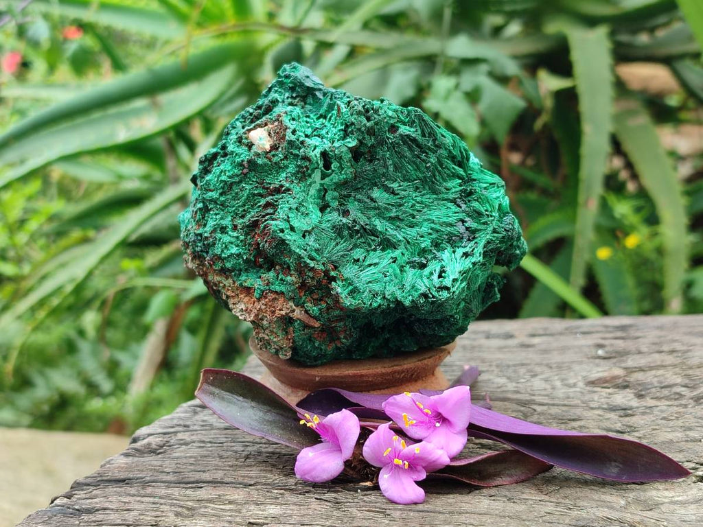 Natural Silky Malachite Specimens x 3 From Kasompe, Congo
