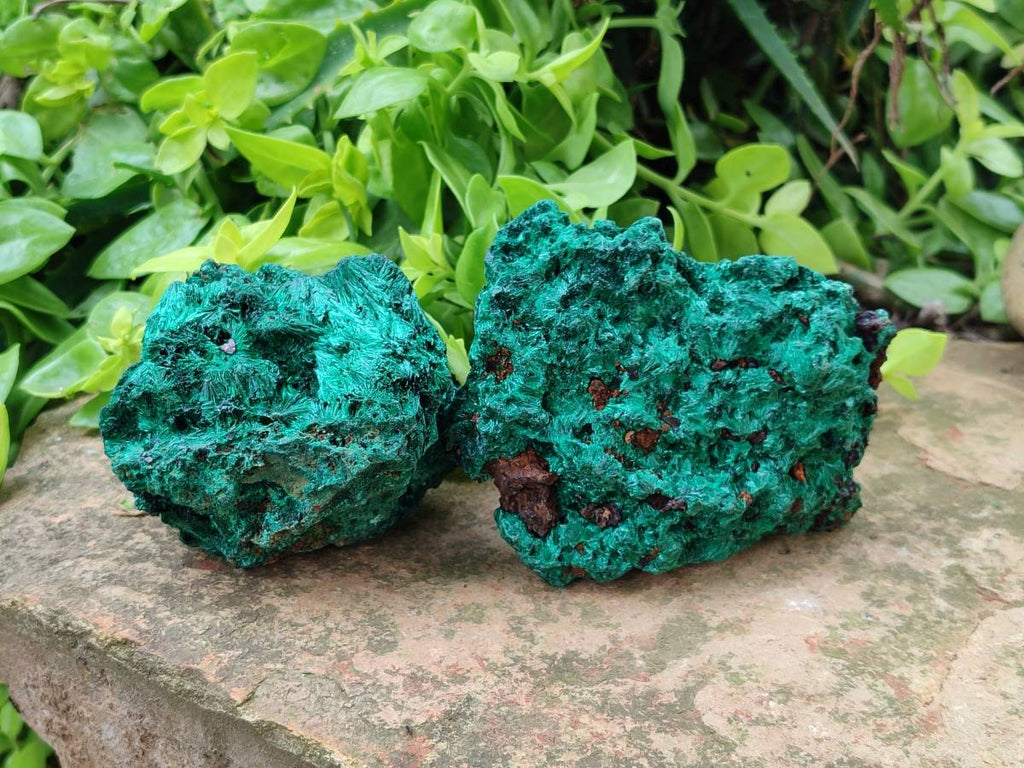 Natural Silky Malachite Specimens x 3 From Kasompe, Congo