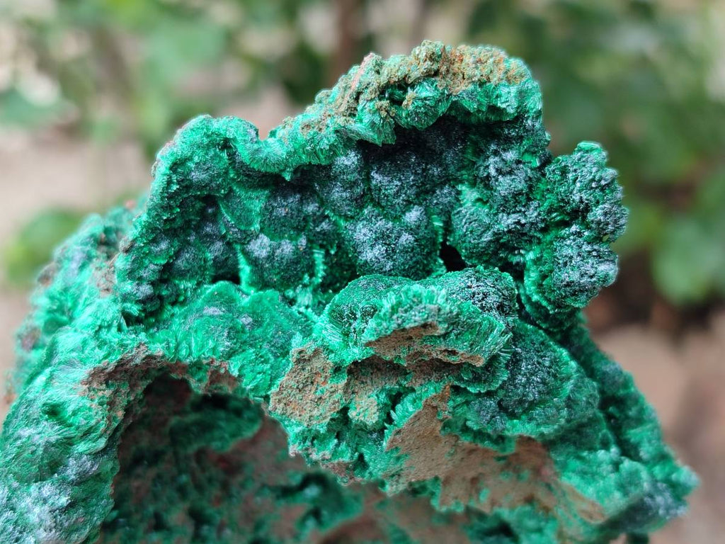 Natural Silky Malachite Specimens x 3 From Kasompe, Congo