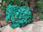 Natural Silky Malachite Specimens x 3 From Kasompe, Congo