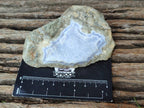 Natural Blue Lace Agate Geode Specimens x 12 From Nsanje, Malawi