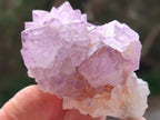 Natural Sunburst Amethyst Spirit Clusters x 12 From Boekenhouthoek, South Africa