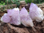 Natural Sunburst Amethyst Spirit Clusters x 12 From Boekenhouthoek, South Africa