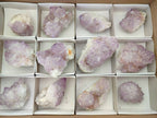 Natural Sunburst Amethyst Spirit Clusters x 12 From Boekenhouthoek, South Africa