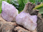 Natural Sunburst Amethyst Spirit Clusters x 12 From Boekenhouthoek, South Africa