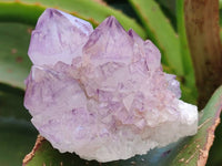 Natural Sunburst Amethyst Spirit Clusters x 12 From Boekenhouthoek, South Africa