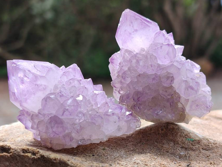 Natural Sunburst Amethyst Spirit Clusters x 12 From Boekenhouthoek, South Africa