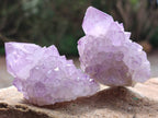 Natural Sunburst Amethyst Spirit Clusters x 12 From Boekenhouthoek, South Africa