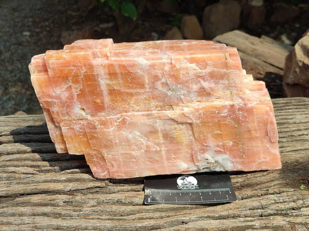 Natural XL Sunset Orange Calcite Specimen x 1 From Spitzkop, Namibia