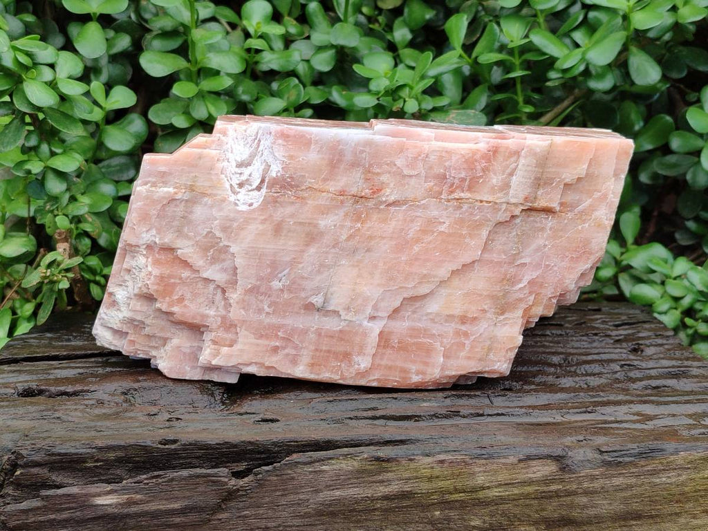 Natural XL Sunset Orange Calcite Specimen x 1 From Spitzkop, Namibia