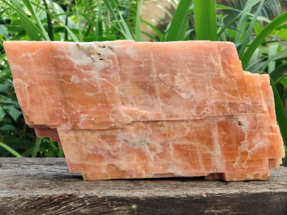 Natural XL Sunset Orange Calcite Specimen x 1 From Spitzkop, Namibia