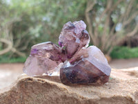 Natural Window Amethyst Crystals x 12 From Chiredzi, Zimbabwe