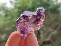 Natural Window Amethyst Crystals x 12 From Chiredzi, Zimbabwe