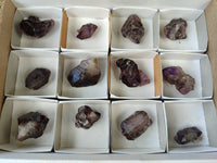 Natural Window Amethyst Crystals x 12 From Chiredzi, Zimbabwe
