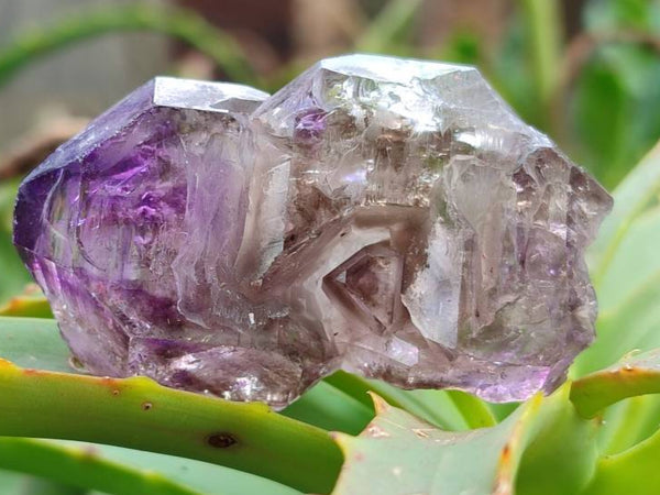 Natural Window Amethyst Crystals x 12 From Chiredzi, Zimbabwe