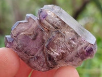 Natural Window Amethyst Crystals x 12 From Chiredzi, Zimbabwe