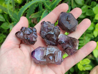 Natural Window Amethyst Crystals x 12 From Chiredzi, Zimbabwe
