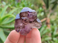 Natural Window Amethyst Crystals x 12 From Chiredzi, Zimbabwe