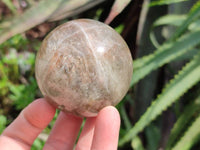 Polished Mixed Selected Multi Mineral Spheres x 6 From Madagascar