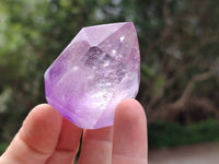 Polished Window Amethyst Crystals x 12 From Akansobe, Madagascar