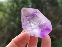 Polished Window Amethyst Crystals x 12 From Akansobe, Madagascar