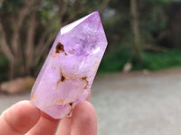 Polished Window Amethyst Crystals x 12 From Akansobe, Madagascar