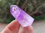 Polished Window Amethyst Crystals x 12 From Akansobe, Madagascar - Toprock Gemstones and Minerals 