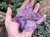 Polished Window Amethyst Crystals x 12 From Akansobe, Madagascar
