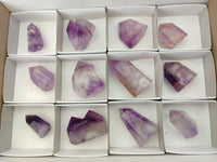 Polished Window Amethyst Crystals x 12 From Akansobe, Madagascar